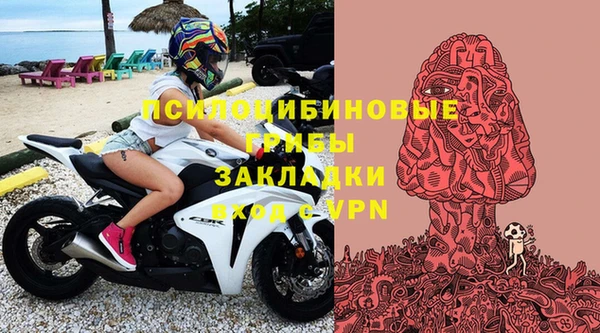 ГАЛЛЮЦИНОГЕННЫЕ ГРИБЫ Балахна