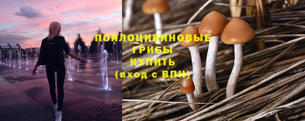 ГАЛЛЮЦИНОГЕННЫЕ ГРИБЫ Балахна