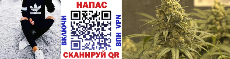 Конопля AK-47  Каменка 
